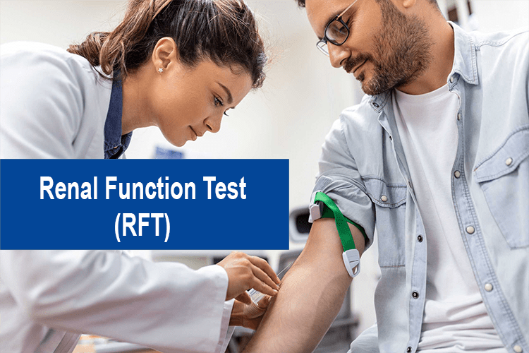 renal function test-min