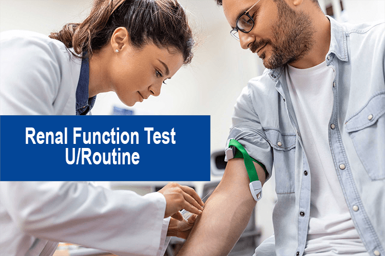 renal function test routine-min