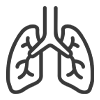 Lungs